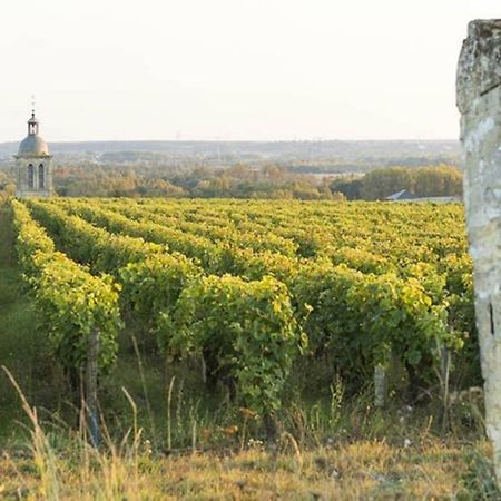 Studio Au Coeur Des Vignes Apartment Montlouis-sur-Loire Ngoại thất bức ảnh