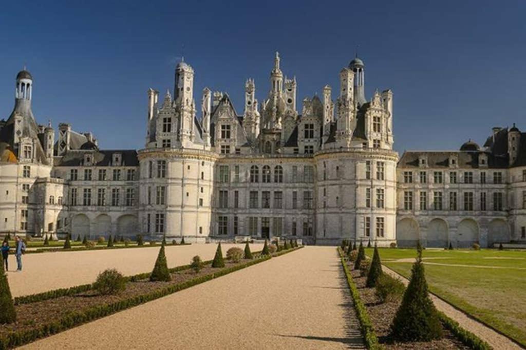 Studio Au Coeur Des Vignes Apartment Montlouis-sur-Loire Ngoại thất bức ảnh